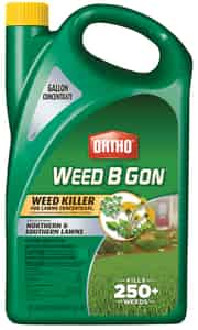 Ortho  Weed B Gon  Concentrate  Weed Killer  1 gal. 