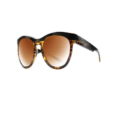 Native La Reina Brown/Gloss Black Polarized Sunglasses