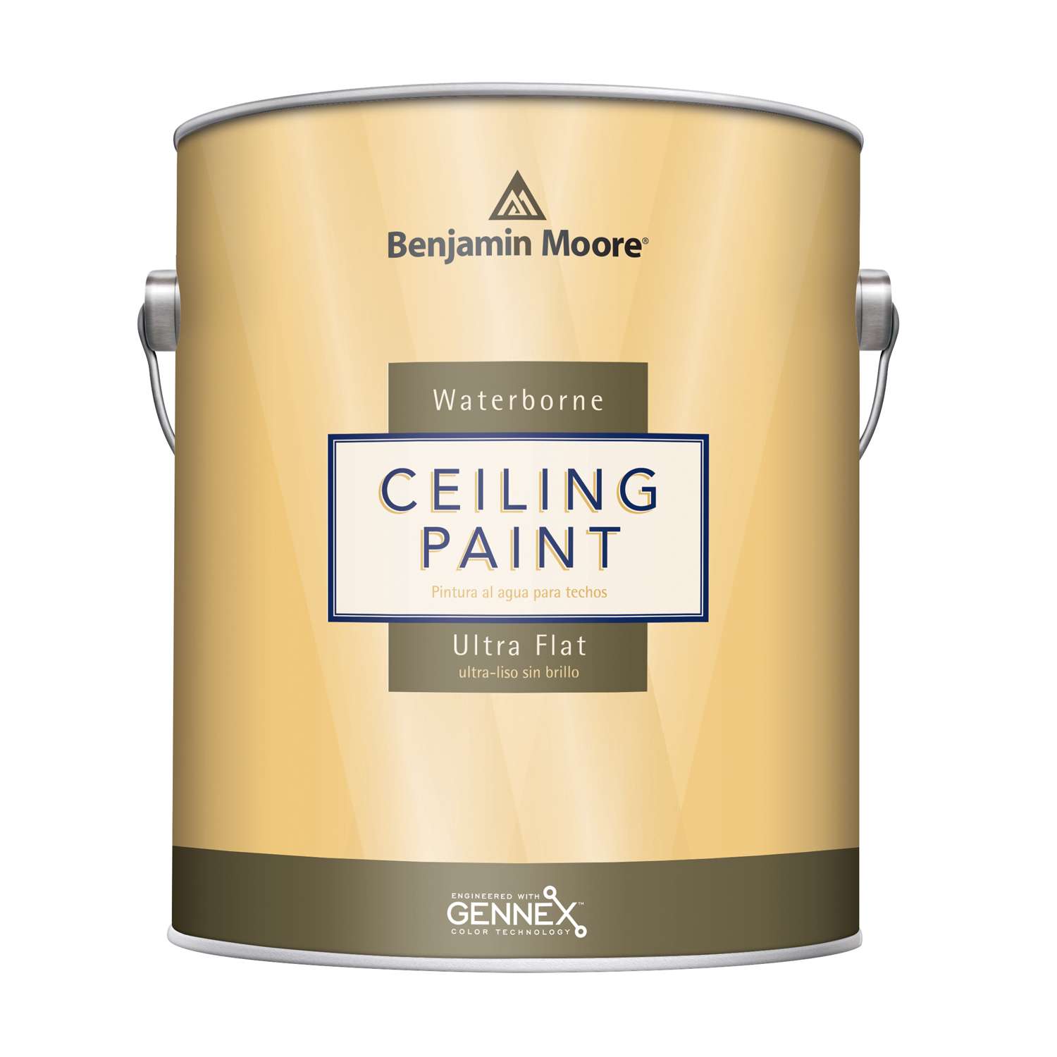 Benjamin Moore Waterborne Ceiling Paint Flat Base 1 Ceiling Paint ...