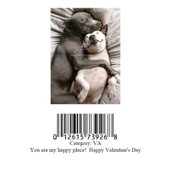 Avanti Press Two Dogs Snuggling Greeting Cards Paper 1 pk
