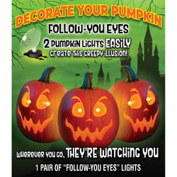 Pumpkin Masters 9 in. Follow-You Eyes Lights