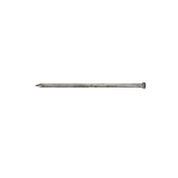 Stallion 4D 1-1/2 in. Finishing Hot-Dipped Galvanized Steel Nail Brad Head 1 lb