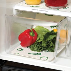 Fox Run Envision Home 2 ft. L X 12 in. W Green/White Vegetables Non-Adhesive Fridge Liner