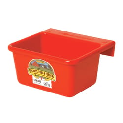 Little Giant DuraFlex 6 qt Feeder For Livestock