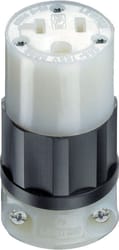 Leviton Industrial Nylon Ground/Straight Blade Plug 5-20R 2 Pole 3 Wire