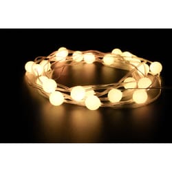 Brightz LED String Lights Warm White 16.4 ft. 50 lights