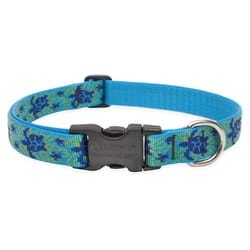 LupinePet Original Designs Multicolor Turtle Reef Nylon Dog Adjustable Collar