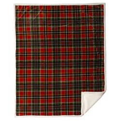 Carstens Inc 68 in. H X 54 in. L Multicolored Polyester Plush Throw Blanket