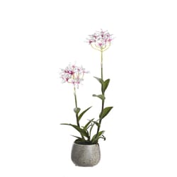 DW Silks 20 in. H X 8 in. L Polyester Pink Epidendrum Orchids in Stone Planter