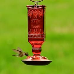 Perky-Pet Hummingbird 24 oz Glass/Metal Nectar Feeder 4 ports