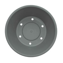 Bloem Terra 5.5 in. H X 6.5 in. W X 4.5 in. D Plastic Traditional Planter Basil