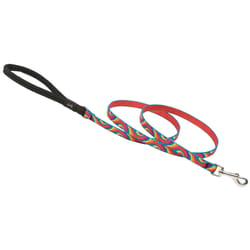 LupinePet Original Designs Multicolor Lolipop Nylon Dog Leash