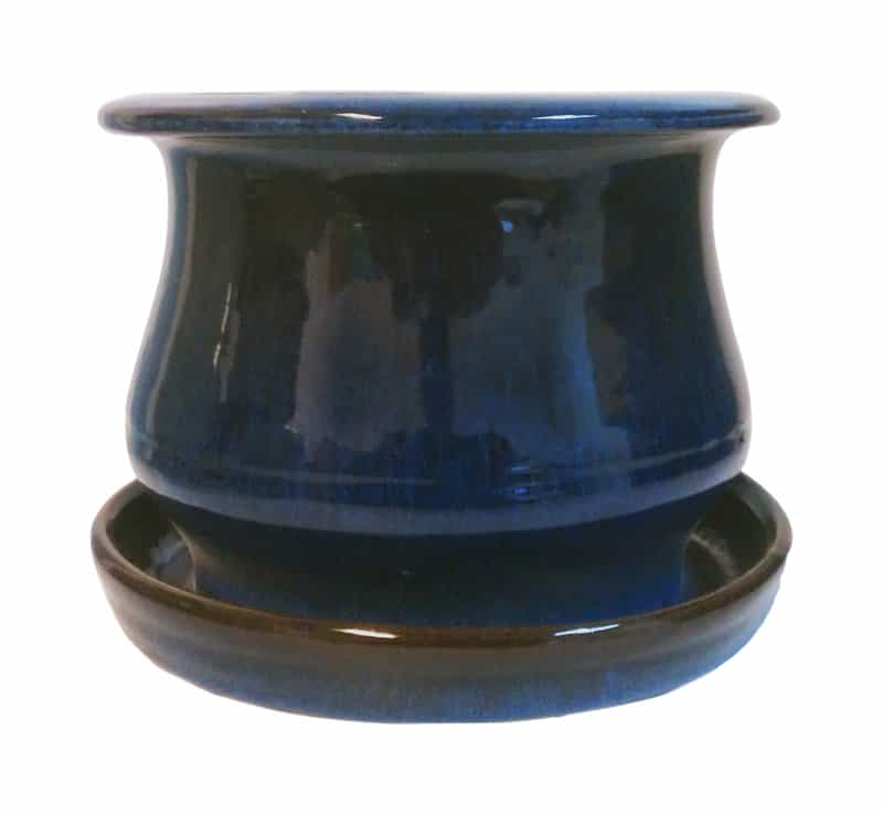 Trendspot 6 in. H x 6 in. W Ceramic Pot Blue Ace Hardware