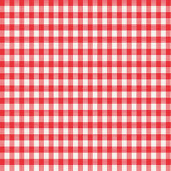 Magic Cover Red/White Checkered Vinyl Disposable Tablecloth 90 in. 52 in.