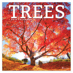 TF Publishing Tree's Calendar Fiber/Paper Laminate 1 pk