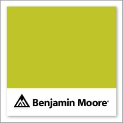 Benjamin Moore Eccentric Lime 2027-30