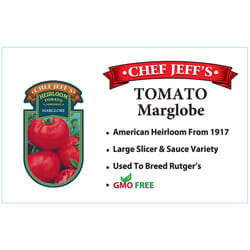 Chef Jeff Red Heirloom MarglobeTomato Vegetable Plant