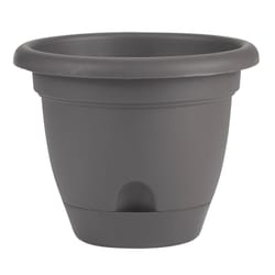 Bloem Lucca 7 in. H X 9 in. D Resin Planter Charcoal Gray