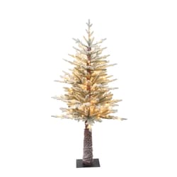 Celebrations 4 ft. Full LED 100 ct Entrance Tree