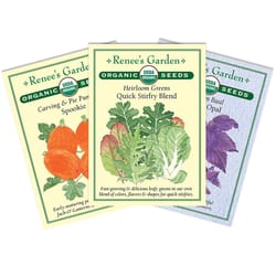 Renee's Garden Seeds 1 pk