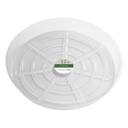 Crescent Garden 2 in. H X 12 in. D Plastic Plant Saucer Clear