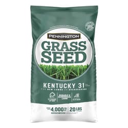 Pennington Kentucky 31 Tall Fescue Grass Sun or Shade Grass Seed 20 lb