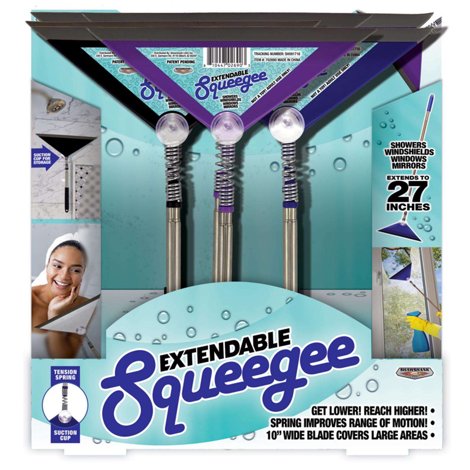 Blazing LEDz 10 in. Stainless Steel Squeegee Ace Hardware