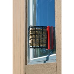 Songbird Essentials Woodpecker 1 each Plastic/Wire Suet Window Feeder