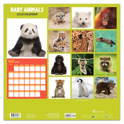 TF Publishing Baby Animals 2019 Calendar Fiber/Paper Laminate 1 pk