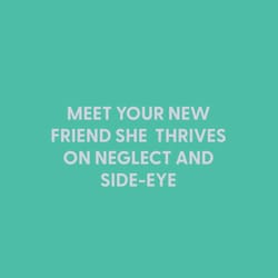 Chive Blank Greeting Card Meet Your New Friend She Thrives on Neglect and Side-Eye