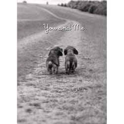 Avanti Press Seasonal Dog Couple On Path Valentine's Day Card Paper 2 pc