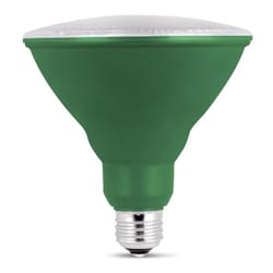 Feit PAR38 E26 (Medium) LED Bulb Green 120 Watt Equivalence 1 pk