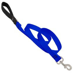 Retractable dog leash for anchor system. Keep that rope away from your  feet!