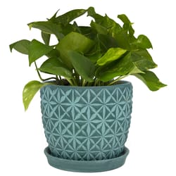 Trendspot Tribeca 7.3 in. H X 8.3 in. W X 8.3 in. D X 8 in. D Ceramic Planter Teal