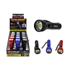 Diamond Visions 250 lm Assorted LED Flashlight AAA Battery