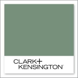 Clark+Kensington Basil Leaf 29B-6