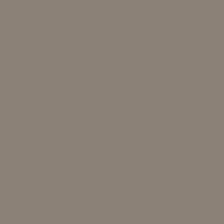 Samplize Benjamin Moore Taos Taupe Peel & Stick Color Sample 2111-40