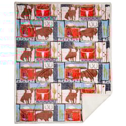 Carstens Inc 68 in. H X 68 in. L Multicolored Polyester Throw Blanket