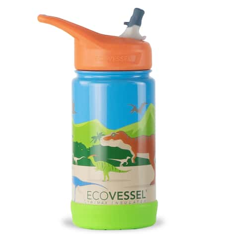 Frost Insulated Stainless Steel Kids Water Bottle with Flip Spout