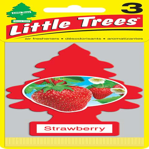 Save on Little Trees Paper Car Air Fresheners Morning Fresh Order Online  Delivery