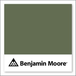 Benjamin Moore Alligator Alley 441