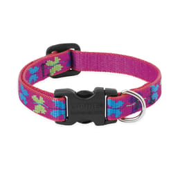 Lupine Pet Original Designs Multicolor Wing It Nylon Dog Adjustable Collar