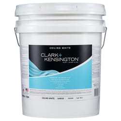 Clark+Kensington Flat Ceiling White Premium Paint Interior 5 gal
