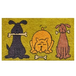 Home & More 1.42 ft. W X 2.42 ft. L Green Doggie Fun Coir Door Mat