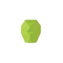 Pet Shop by Fringe Studio Green Rubber You're Adora-Ball Pet Toy 1 pk