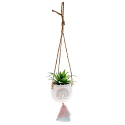 Karma 2 in. H X 3 in. W X 2 in. L Multicolored Ceramic Hanging Succulent Pot