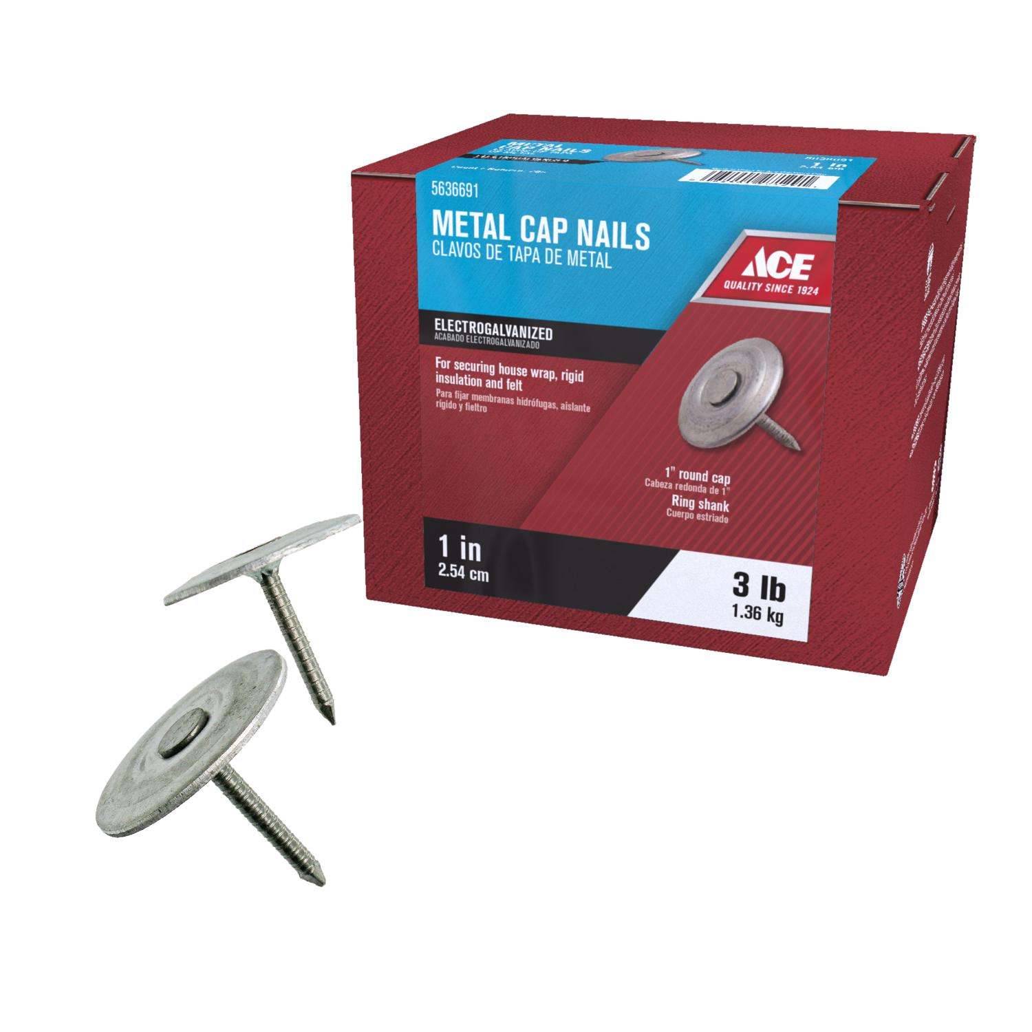 Ace 3 in. Roofing Galvanized Steel Nail Flat Head 1 lb