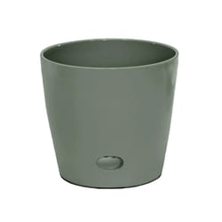 Bamboo Blooms 6.3 in. H X 7 in. D Bamboo Flower Pot Light Green