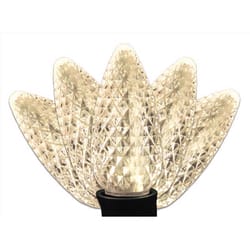 Celebrations Platinum LED C9 Warm White 25 ct String Christmas Lights 25 ft.