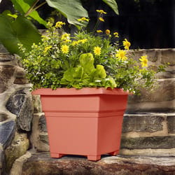 Novelty 15 in. H X 18 in. W X 18 in. D Plastic Countryside Patio Planter Terracotta